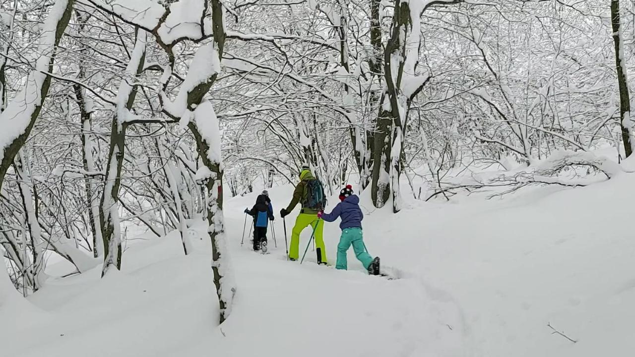 Gran Paradiso Alpette 외부 사진